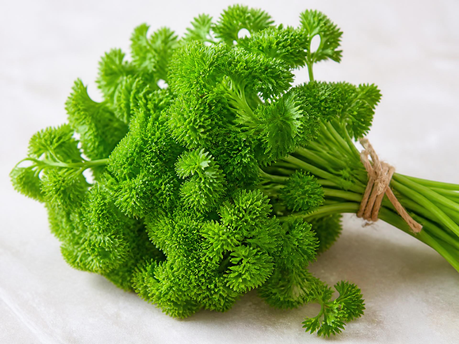 Fresh Parsley from Kenya