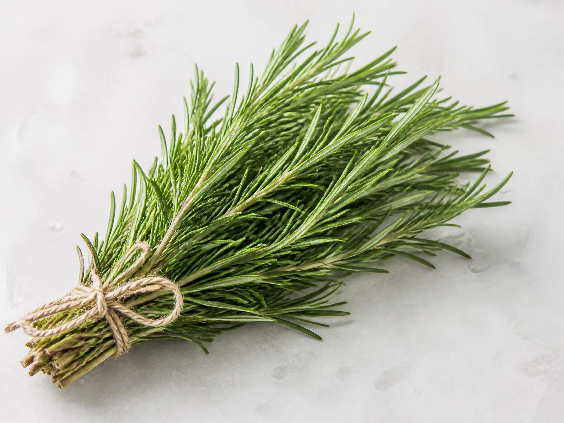 Fresh Rosemary from Kenya