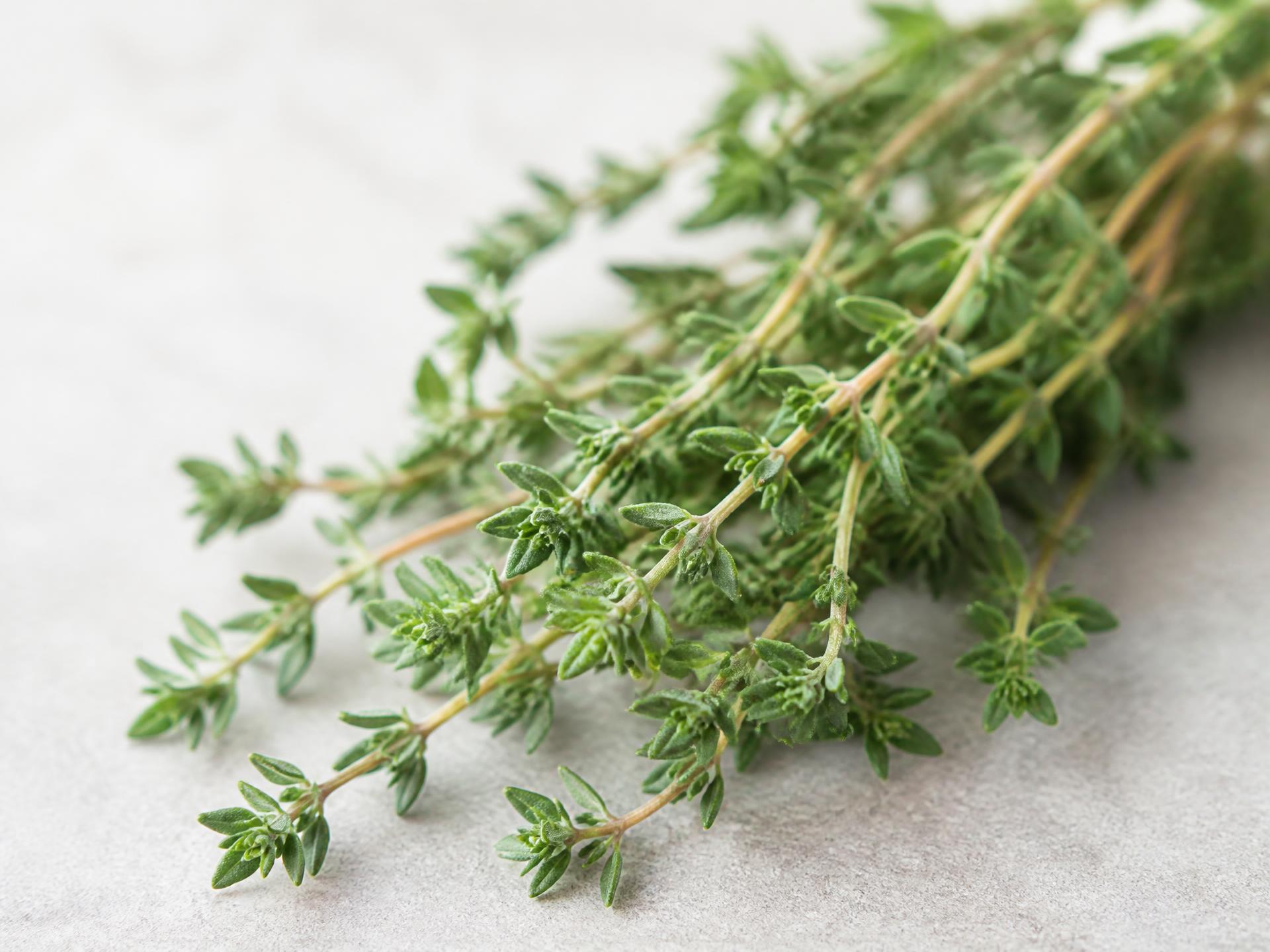 Fresh Thyme from Kenya